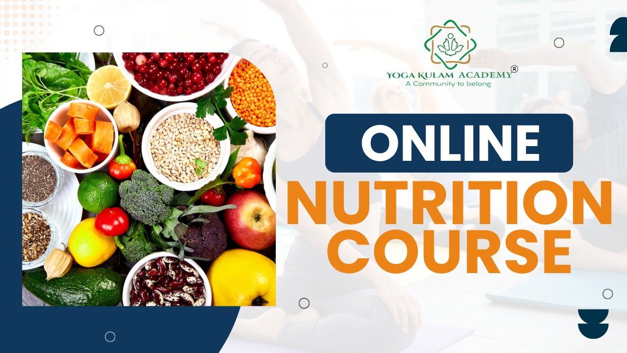 Online Nutrition Course