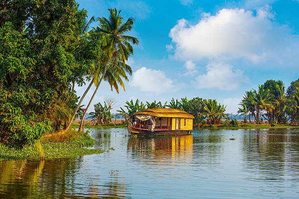 Yoga Teacher Training Kerala