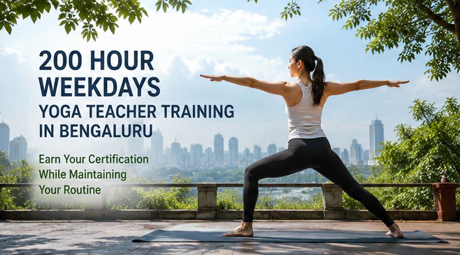 200 Hour Weekdays Yoga Teacher Training in Bengaluru